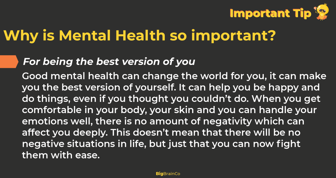 Your mental health is more important than your grades meaning