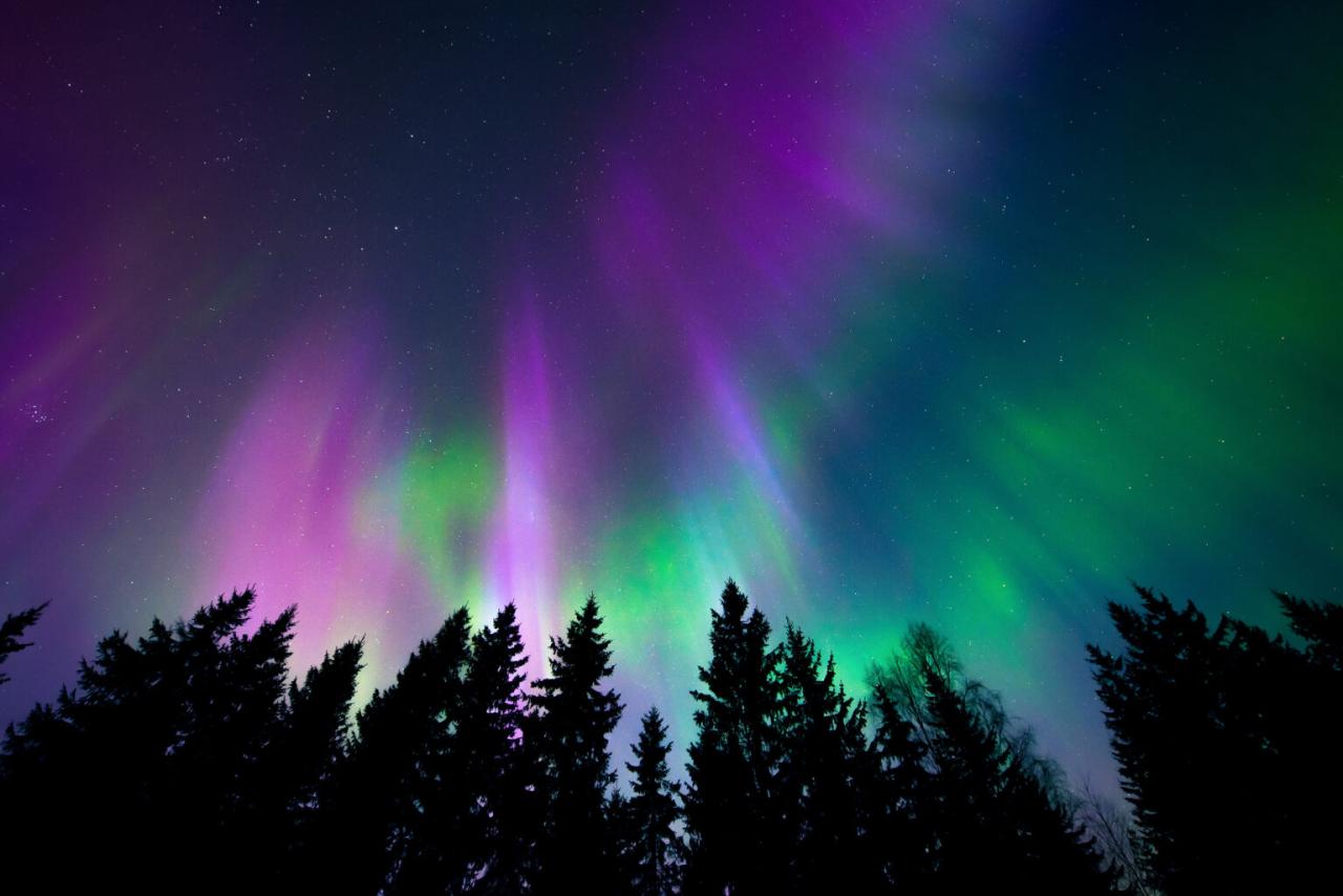 Where can i see the northern lights tonight