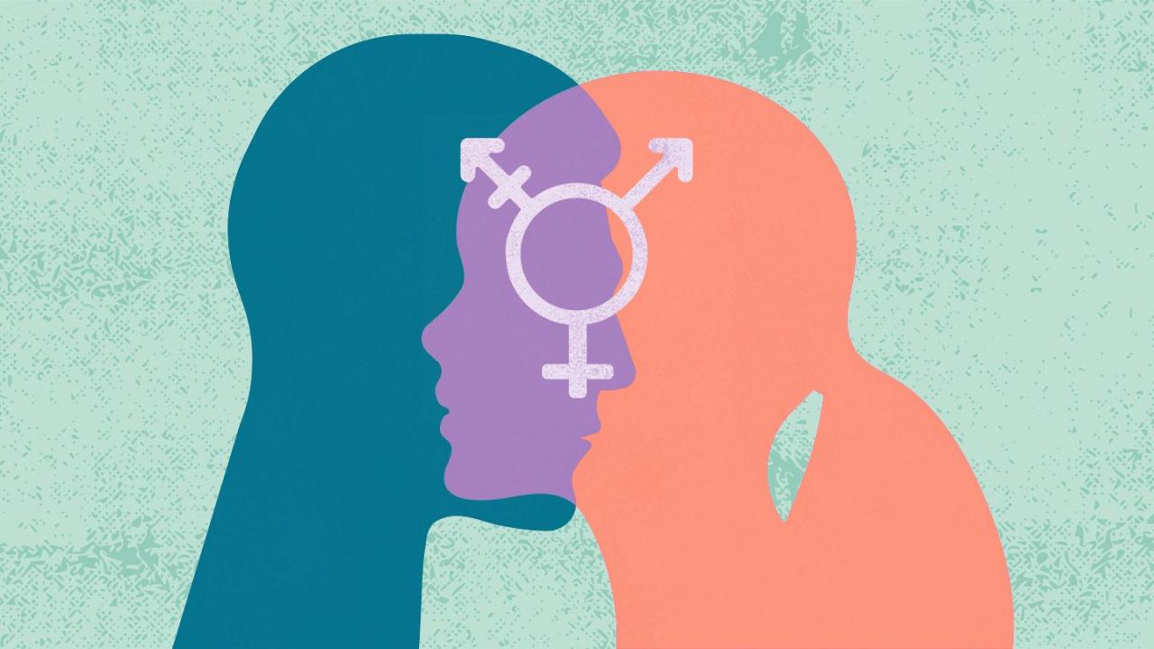 Gender dysphoria transsexualism disorders sons diethylstilbestrol differentiation sex des transgender symbol visit identity