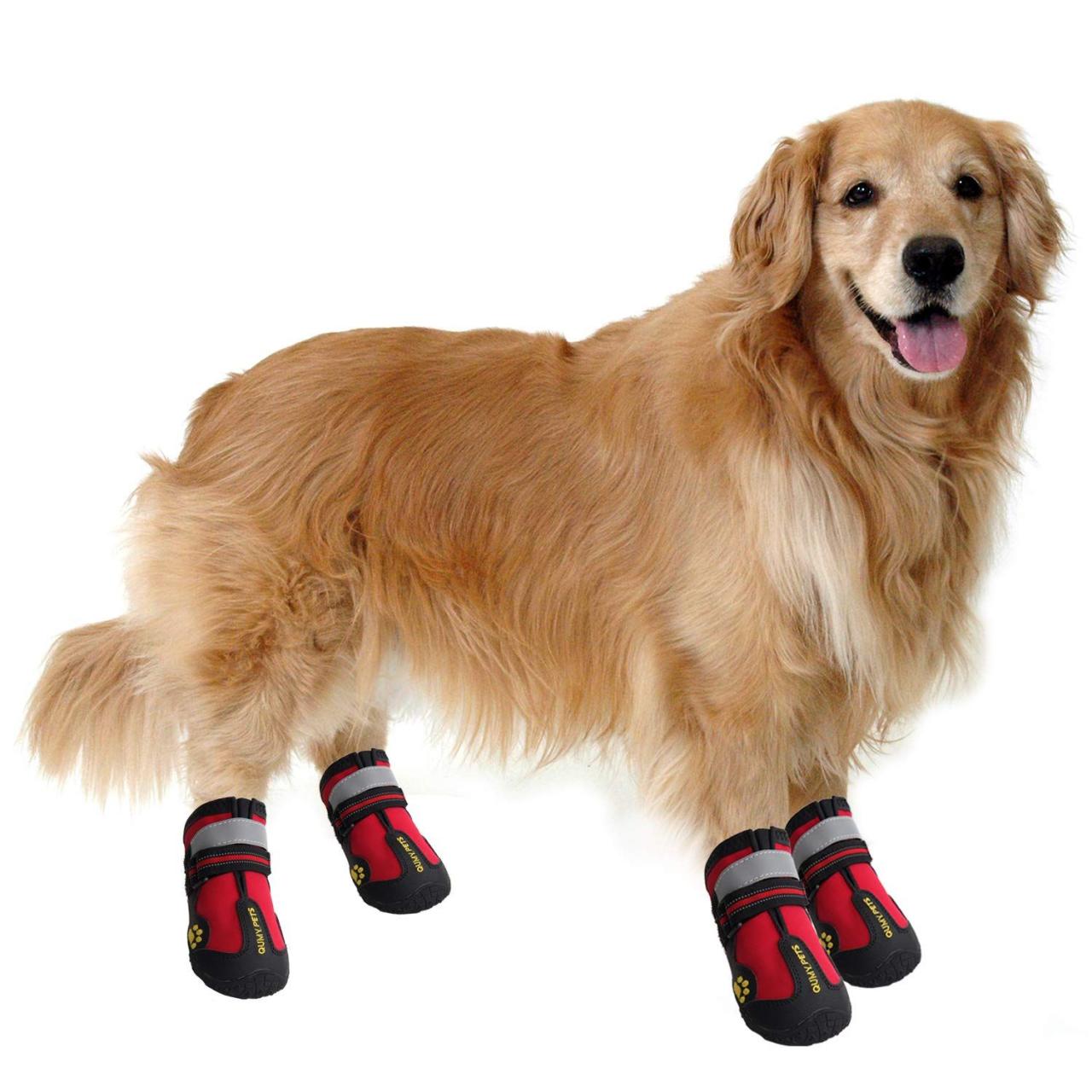 Dog shoes