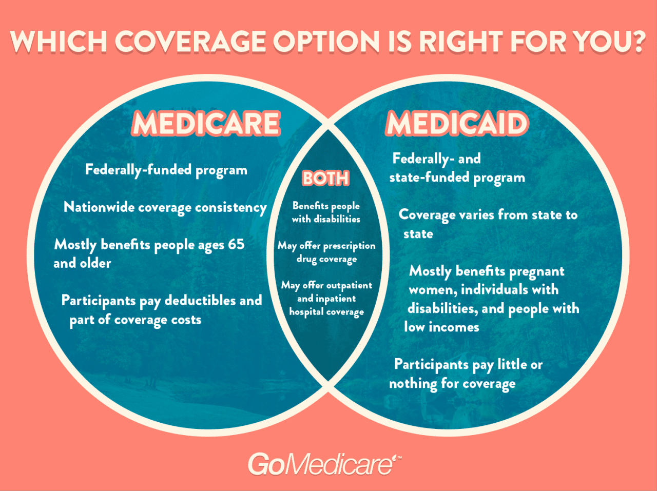 Medicare vs medicaid