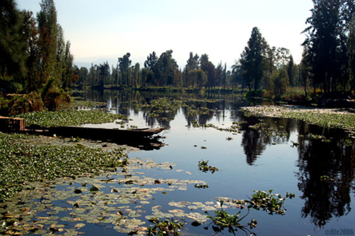 Lake xochimilco