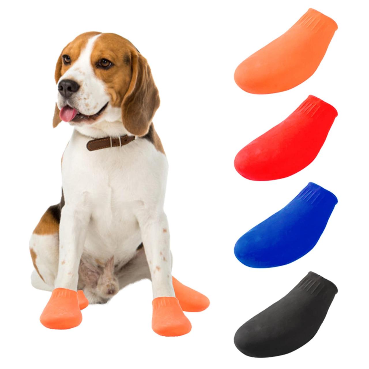 Dog shoes