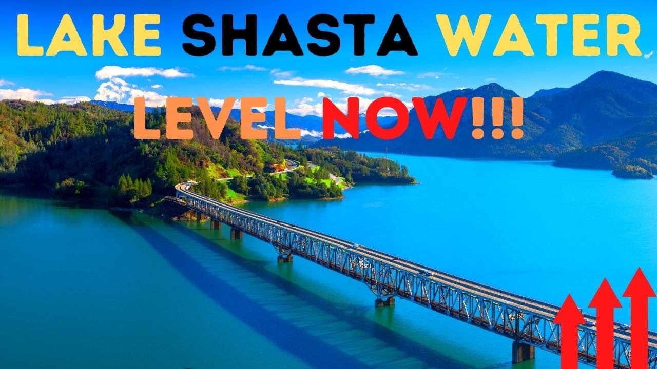 Lake shasta water level