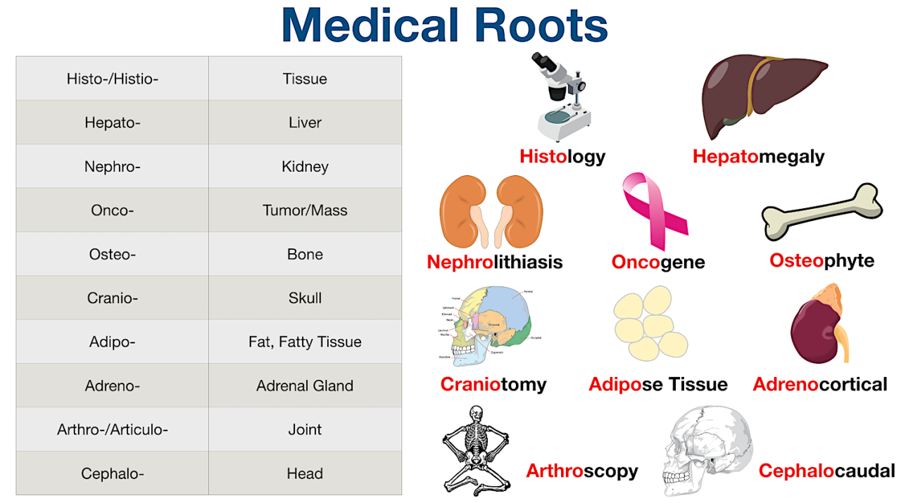 Medical terminology