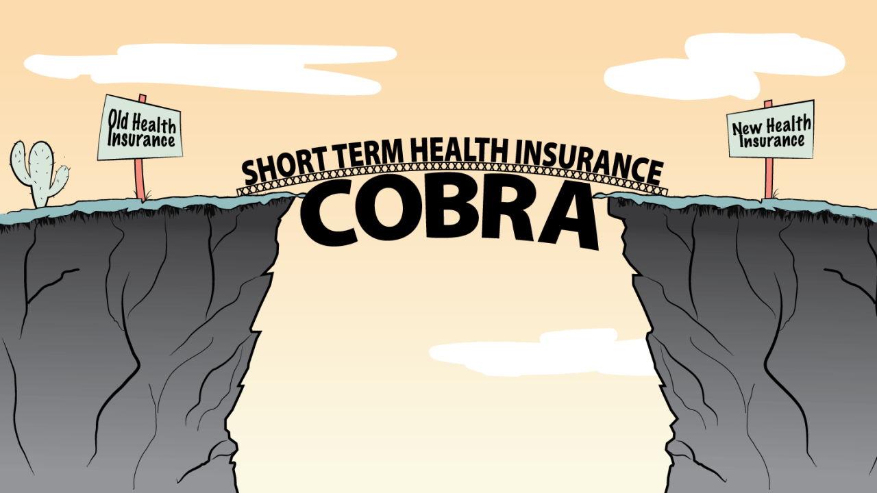 Cobra insurance